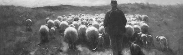 herder schapen